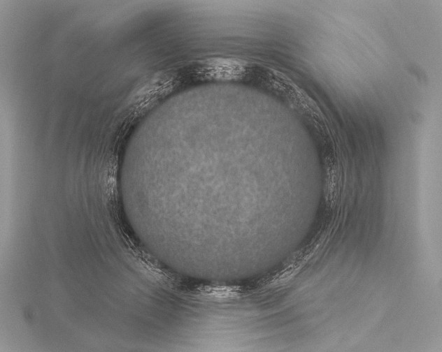 X0000116150553200912071306