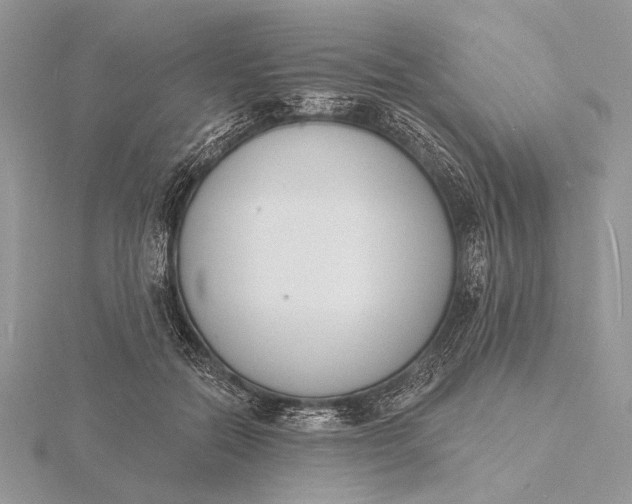 X0000116150554200912071306