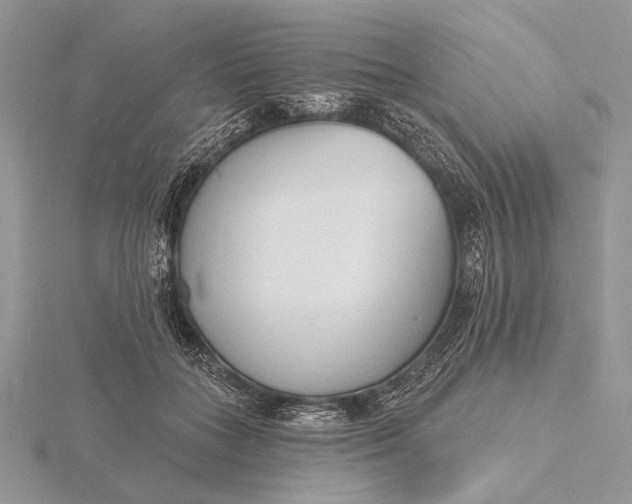 X0000116150555200912071306