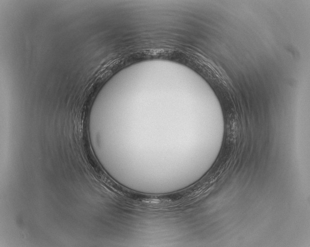 X0000116150558200912071306