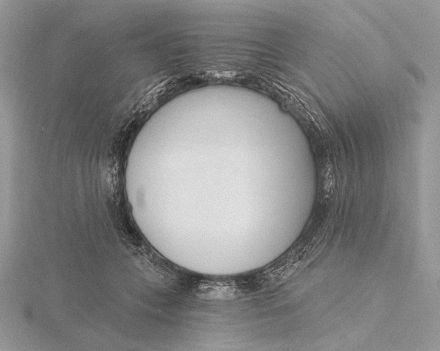 X0000116150559200912071306