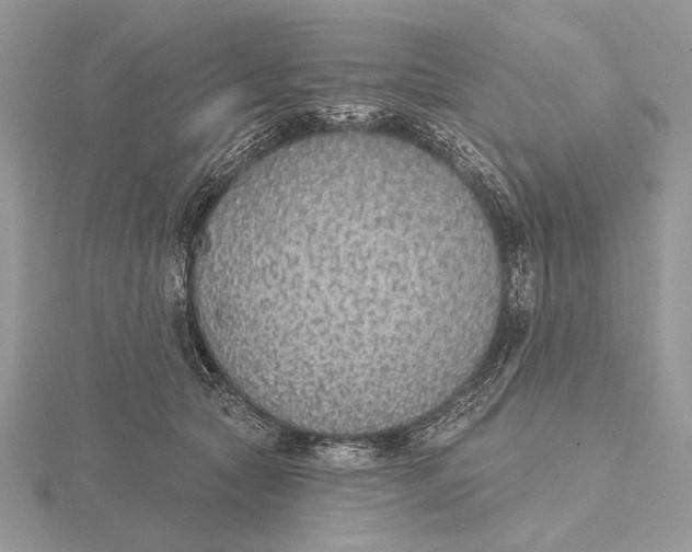 X0000116150561200912071306