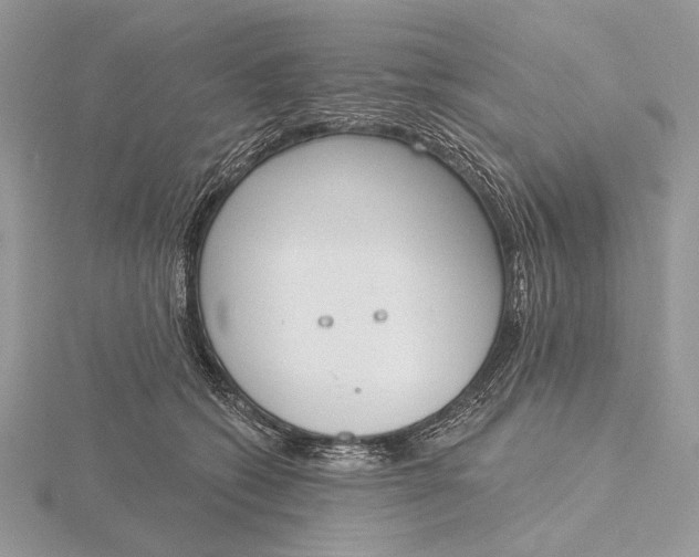 X0000116150562200912071306