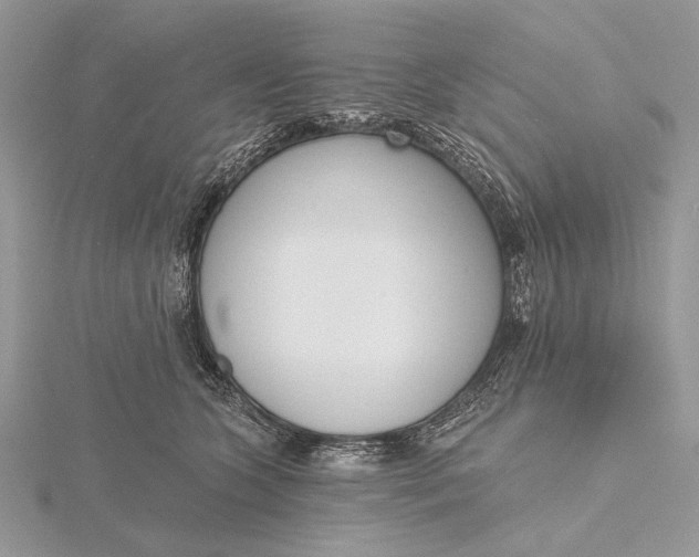 X0000116150563200912071306