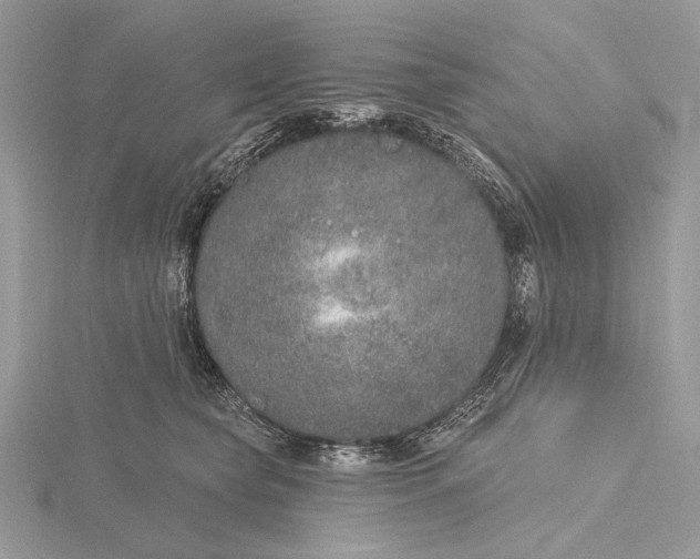 X0000116150565200912071306