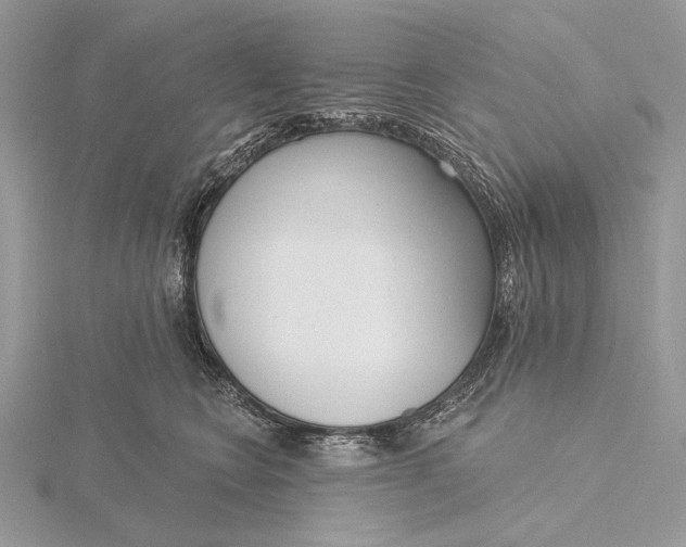 X0000116150566200912071306