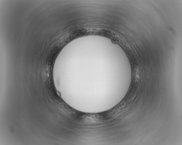 X0000116150567200912071306