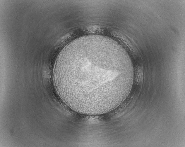 X0000116150569200912071306