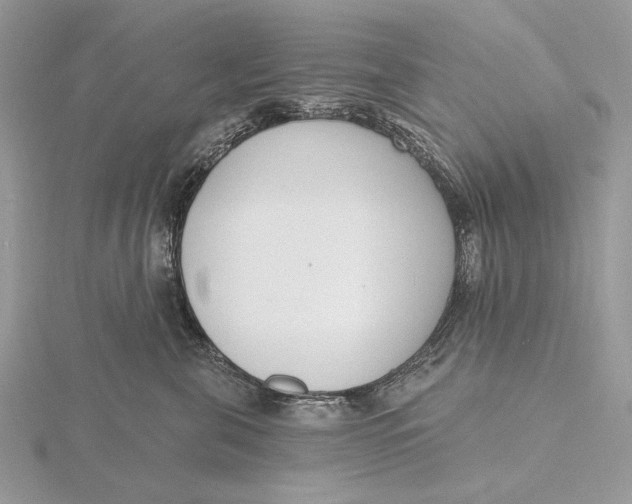 X0000116150571200912071306