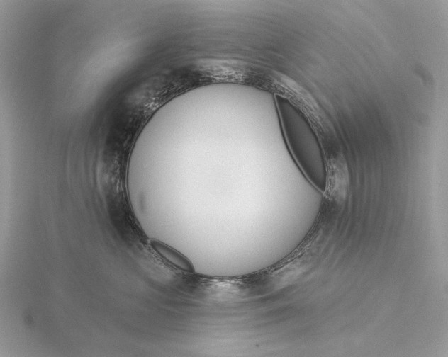 X0000116150573200912071306