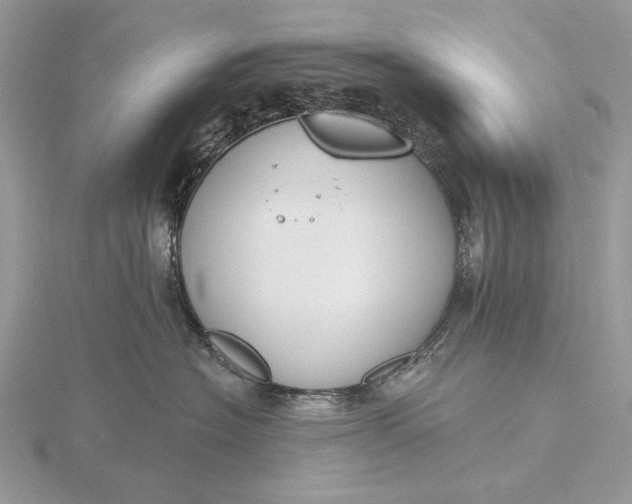 X0000116150574200912071306