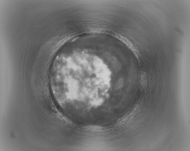 X0000116150577200912071306