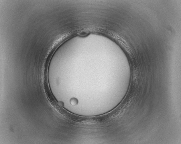 X0000116150578200912071306