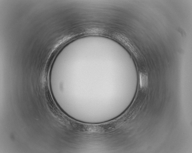 X0000116150579200912071306