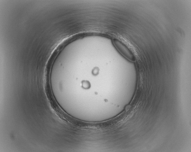 X0000116150580200912071306