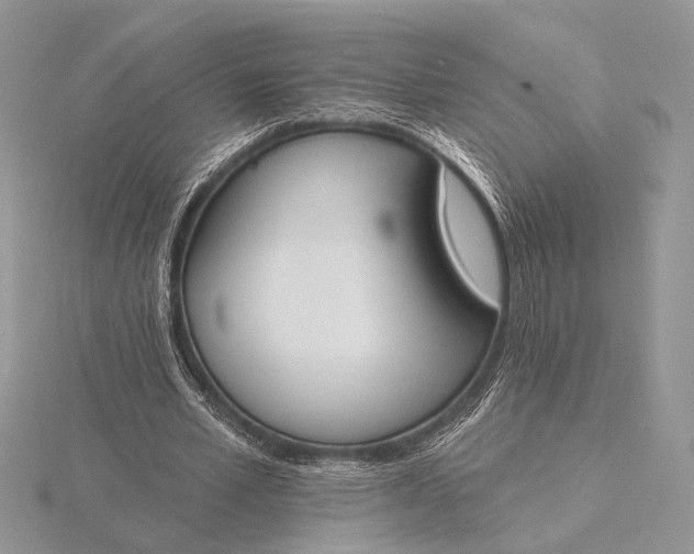 X0000116150581200912071306