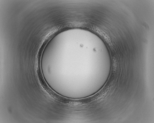 X0000116150582200912071306