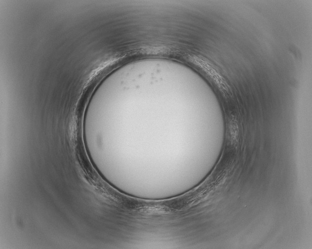 X0000116150583200912071306