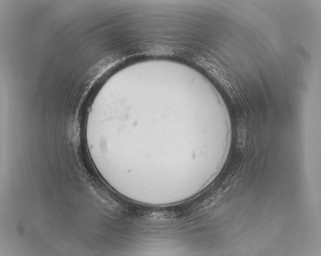 X0000116150584200912071306