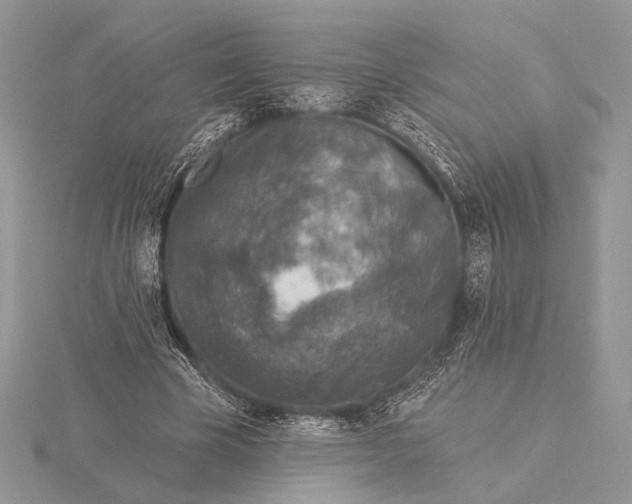 X0000116150585200912071306