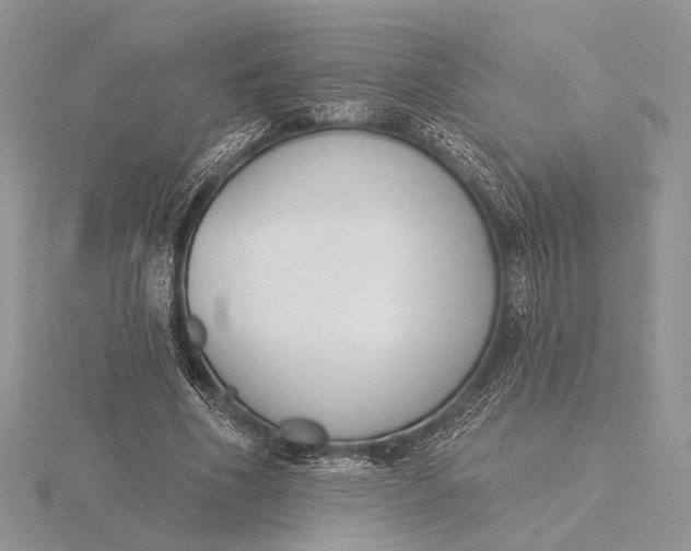 X0000116150586200912071306