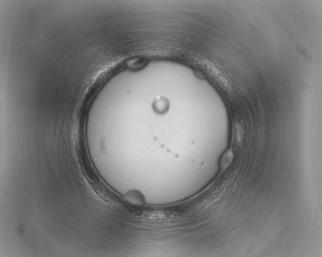 X0000116150588200912071306