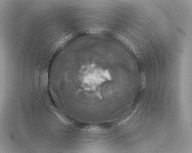 X0000116150589200912071306