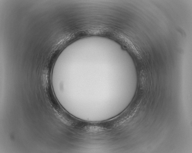 X0000116150590200912071306