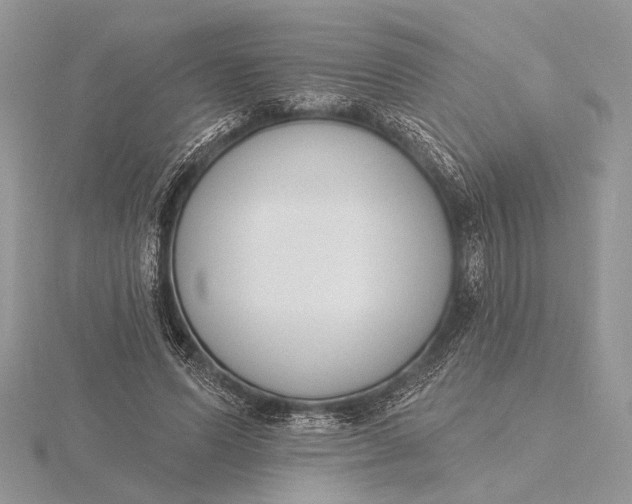 X0000116150591200912071306