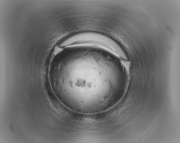 X0000116150592200912071306