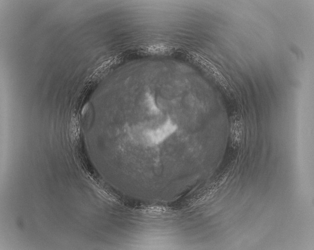 X0000116150593200912071306