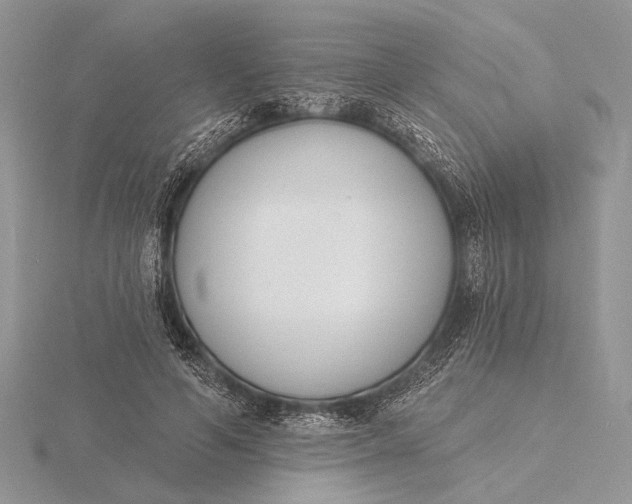 X0000116150594200912071306