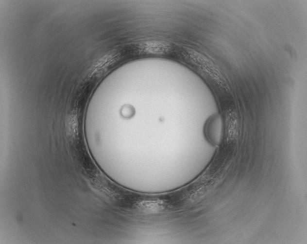 X0000116150595200912071306