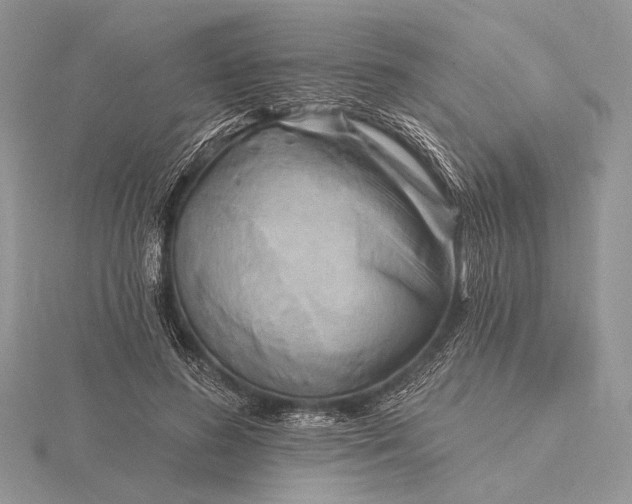 X0000116150596200912071306