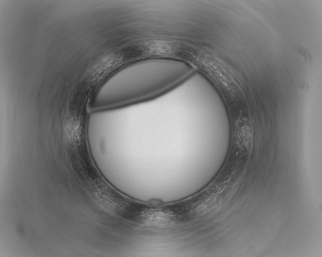 X0000116150597200912071306