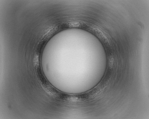 X0000116150598200912071306