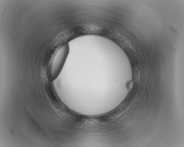 X0000116150599200912071306