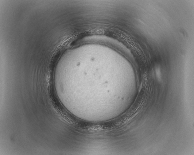 X0000116150600200912071306