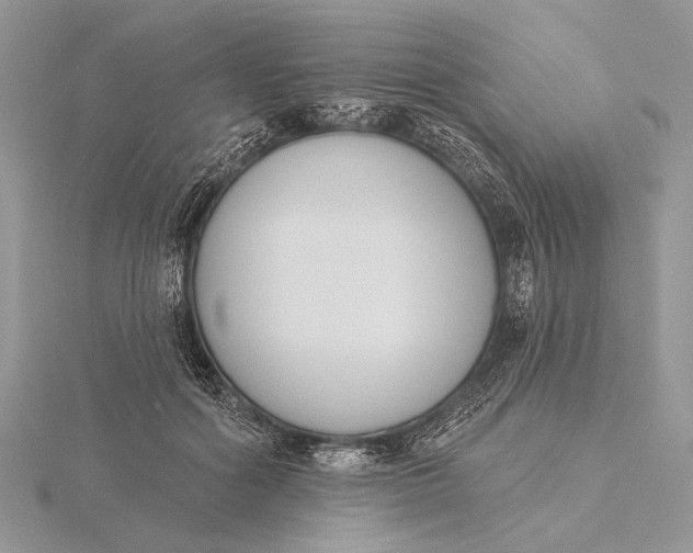 X0000116150602200912071305