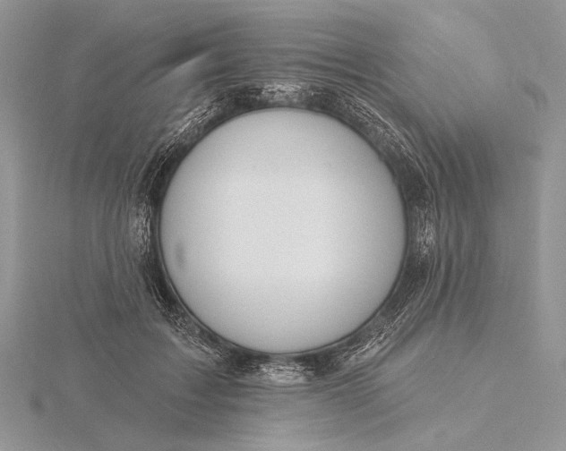 X0000116150603200912071305