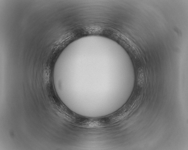 X0000116150604200912071305