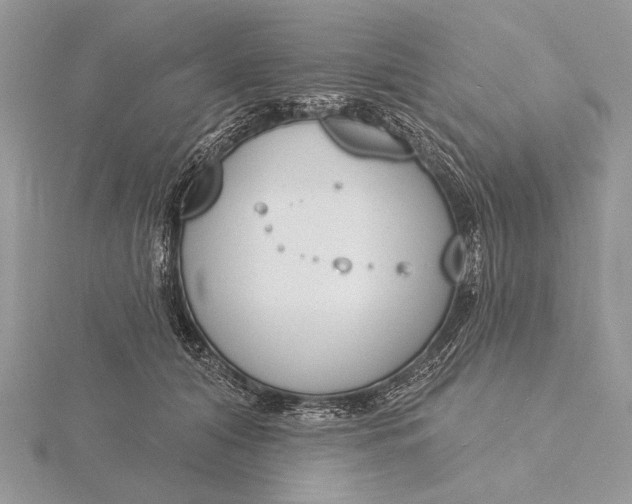 X0000116150608200912071305