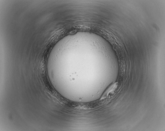 X0000116150609200912071305