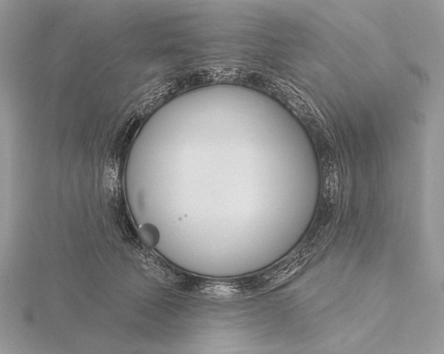 X0000116150610200912071305