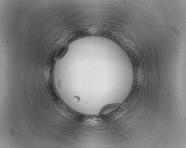 X0000116150611200912071305