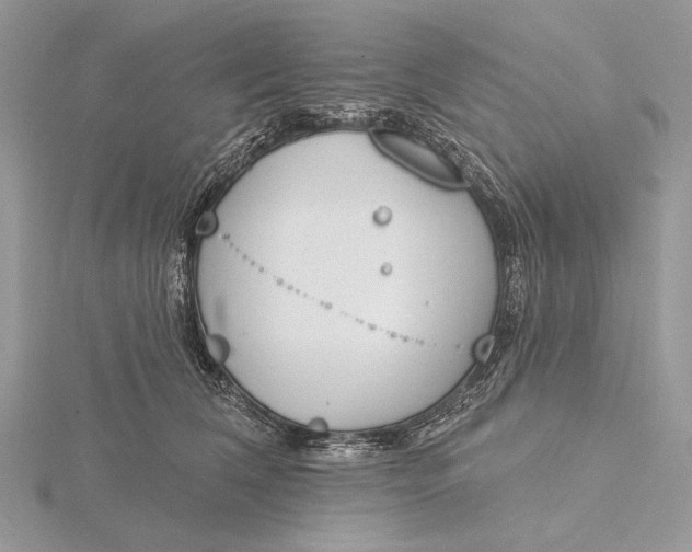 X0000116150612200912071305