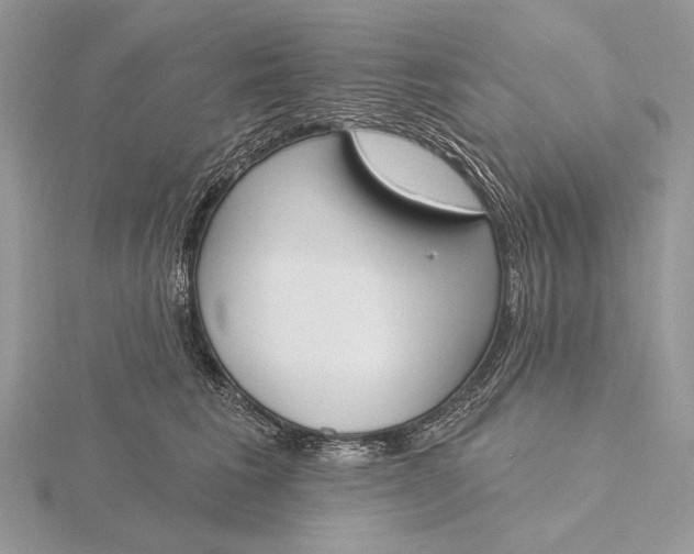 X0000116150613200912071305