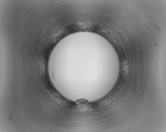 X0000116150615200912071305