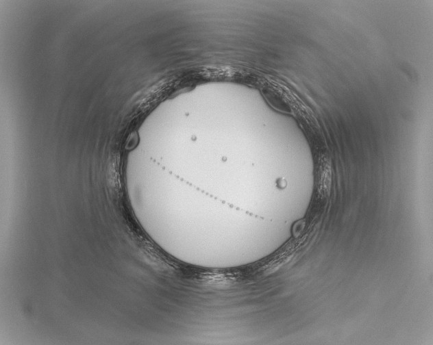 X0000116150616200912071305