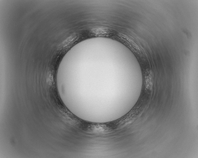 X0000116150618200912071305